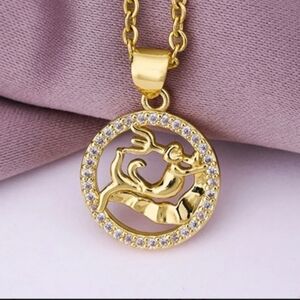 Aquarius Zodiac Necklace Inlaid Zircon Gold Plated Stainless Steel